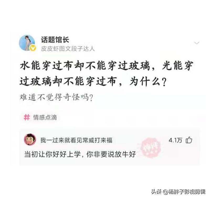 菠萝与凤梨是同一种水果吗,与凤梨菠萝相似的水果