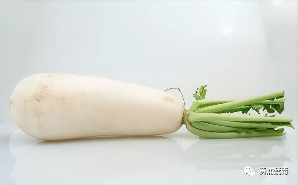 关于慢性支气管炎的自我保健措施,得了支气管炎吃什么能好得快