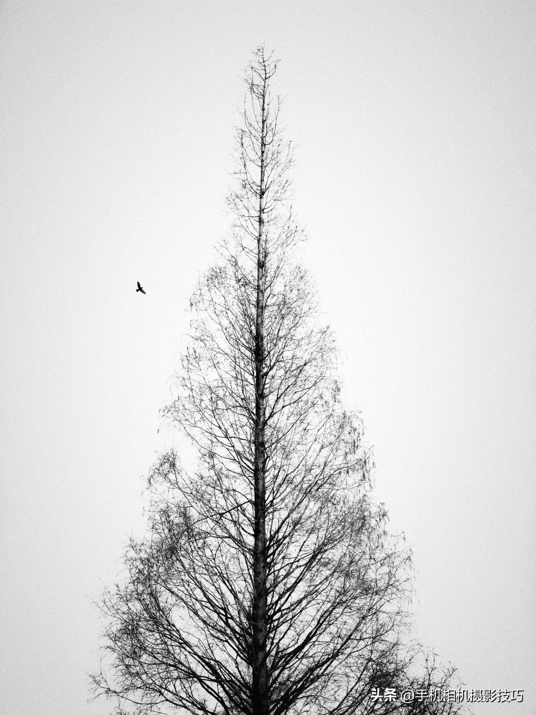 用一百年前的方式感受摄影的魅力,摄影就是有着独特的魅力