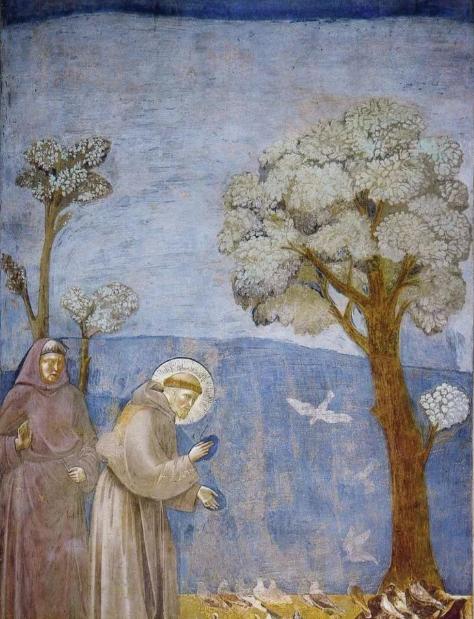 为什么乔托是文艺复兴第一位画家,乔托对文艺复兴的影响