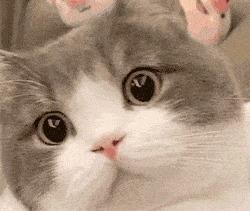 蛋氨酸值,蛋氨酸值50正常吗