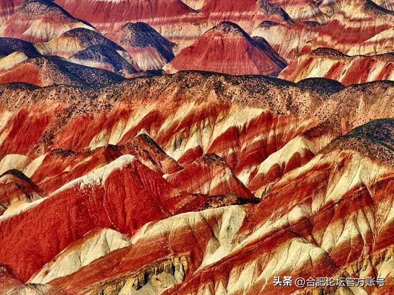 十一月合肥去哪里的机票最便宜,今年11月合肥特价机票