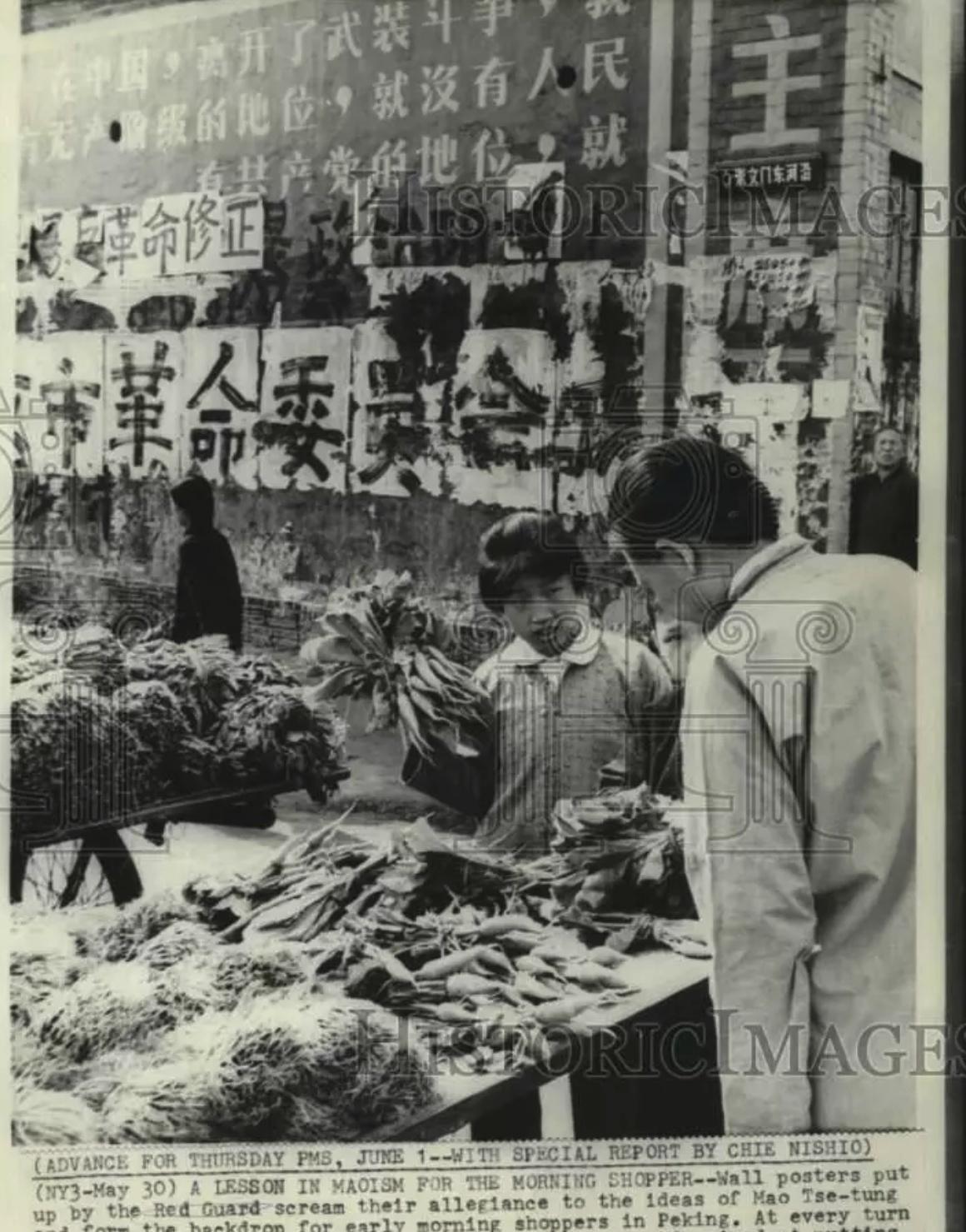 30张真实又罕见的老照片，阴毛假发工作者，我怀疑他用错地方了