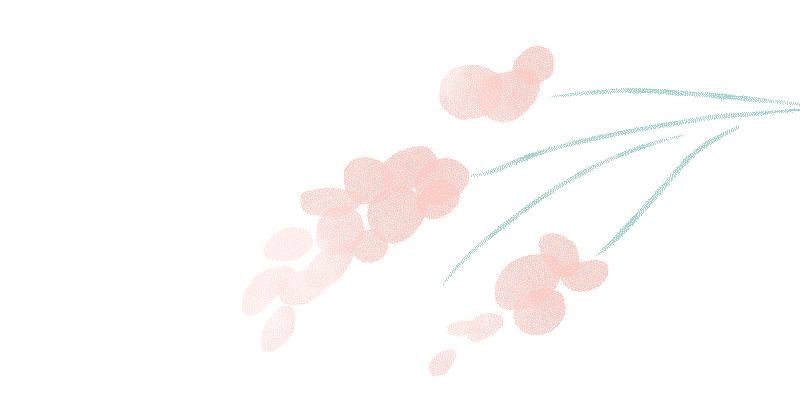 精油芳香疗法的作用是什么,精油调制香水