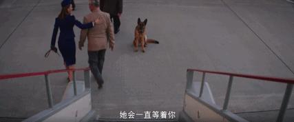 9.5分抖音顶流都来了，山寨小时代别来沾边