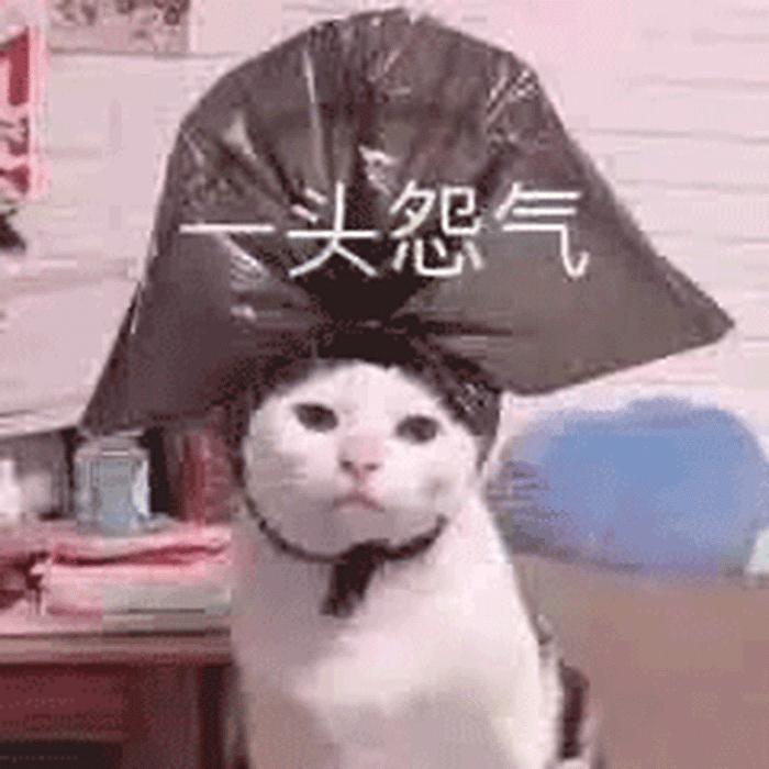 诈骗套路千千万下一句,套路千千万学会一招不被骗