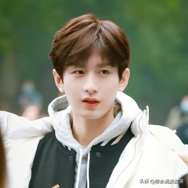 可爱的猫咪头像和小狗头像,团子头像可爱微信头像