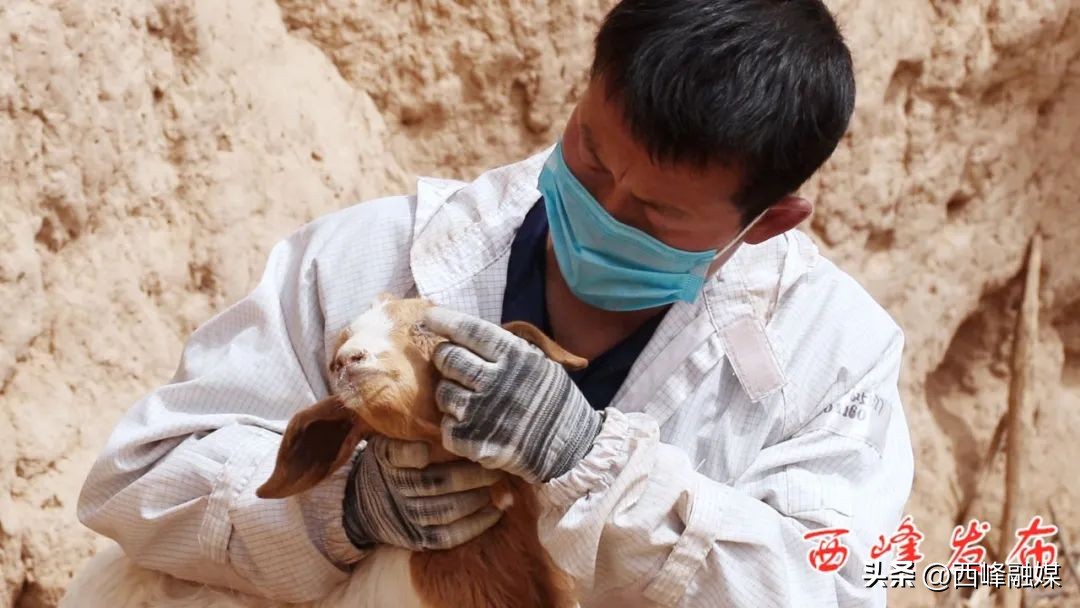 帅龙龙是干什么的,帅龙龙最新视频