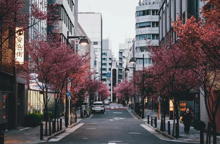 日本股神之小手川隆现状,日本股神小手川隆成长史