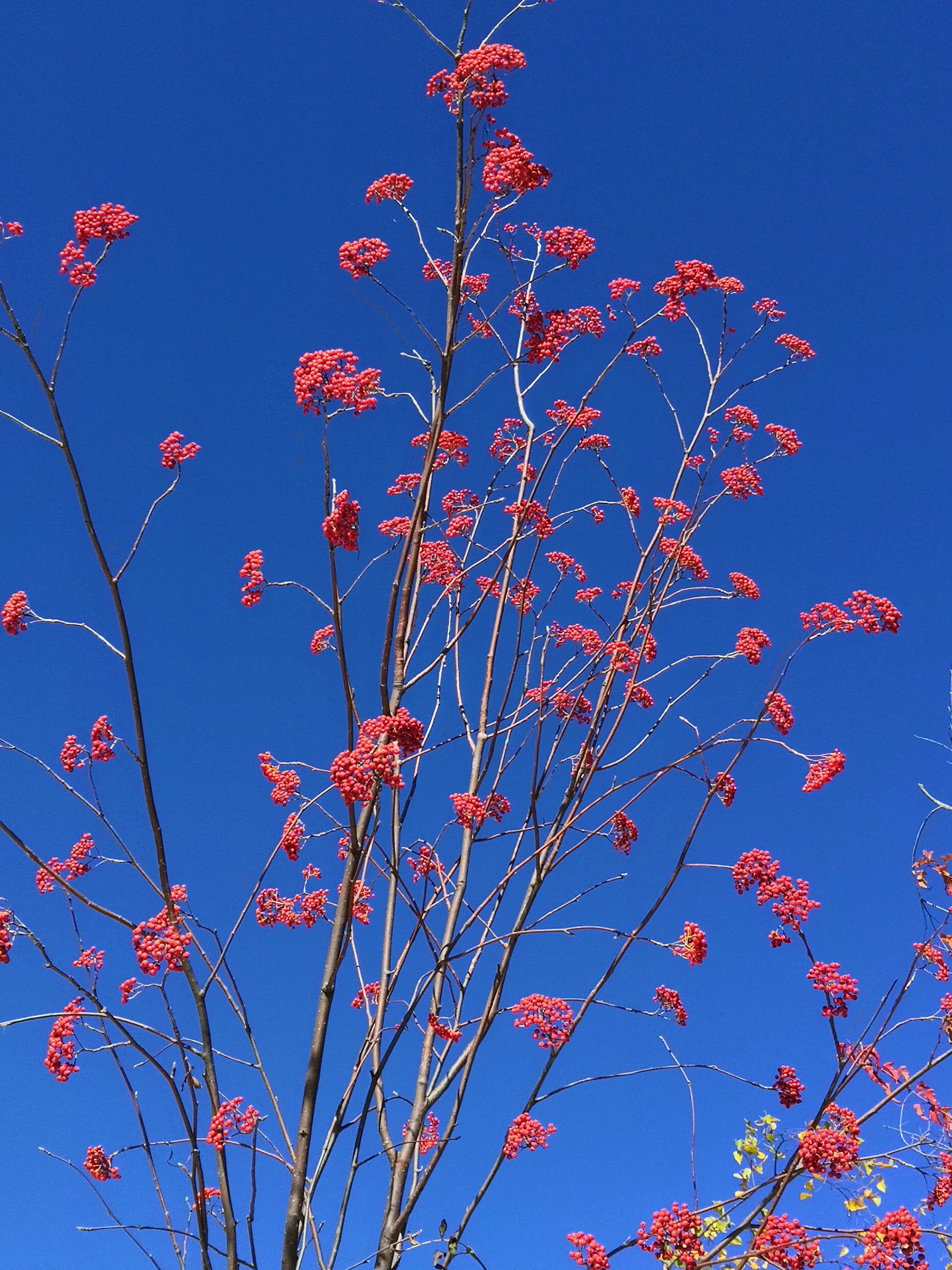 平心静气去拜道观还是寺庙,平心静气放松