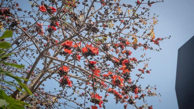 广州珠江新城老地标,老广州地标