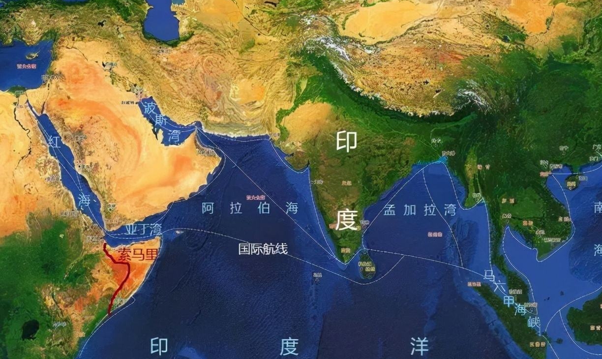 薄翅蜻蜓不足1克重，却能飞行6400公里，打破生命极限值