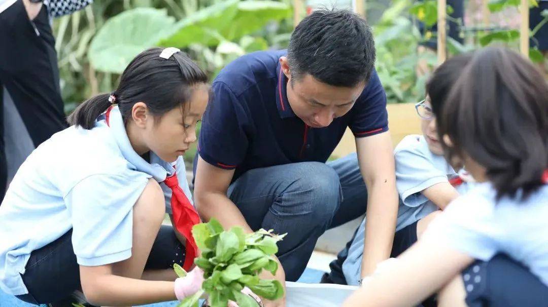 名师数学直播课,数学教学技巧直播