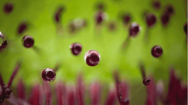 96岁还在奔波工作，这老爷子做出了今年9.8分神片