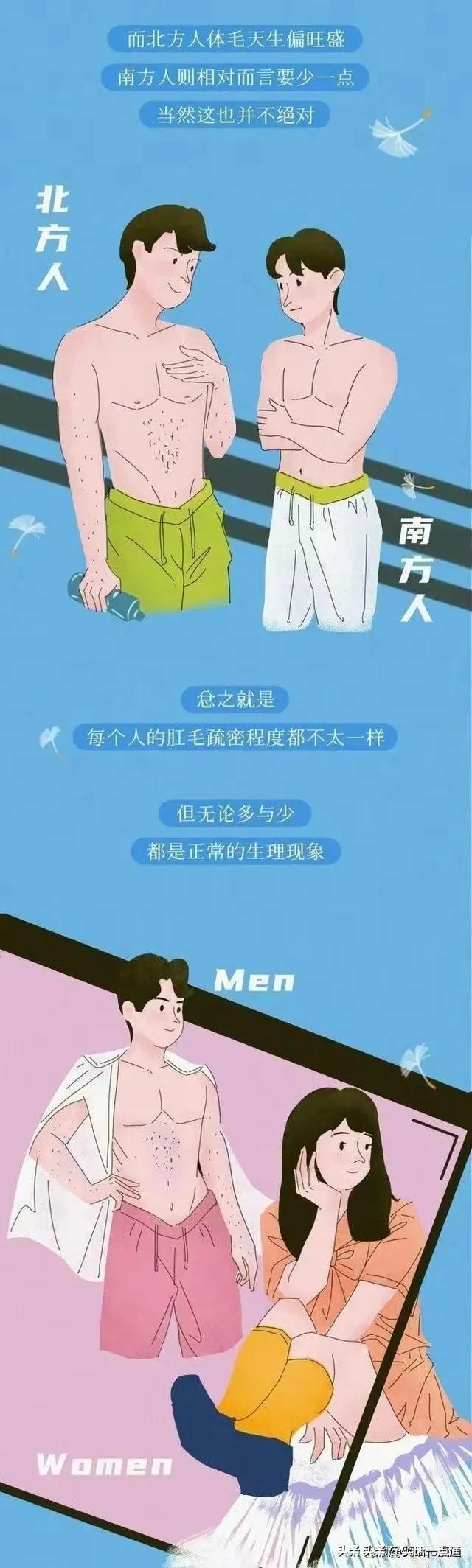 肛门周围的毛毛到底有什么用处？漫画科普