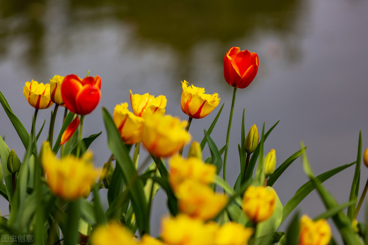 郭进拴走进静升镇,郭进拴原创长篇