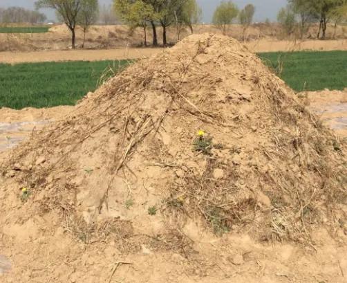 俞伯牙摔琴谢知音的原文与翻译,俞伯牙摔琴谢知音谢字如何解释