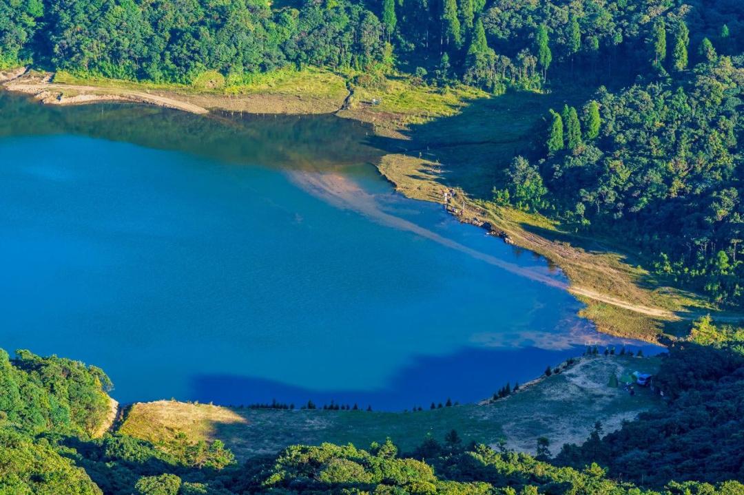美食之都潮汕,广东茂名的特色美食水果