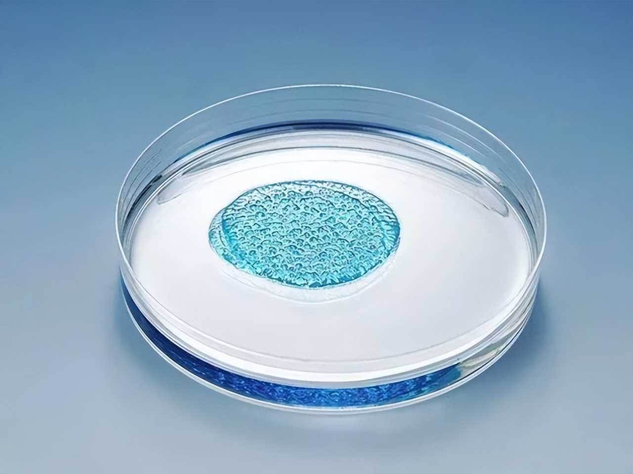 干细胞让心肌细胞重生,干细胞与器官再生能实现吗