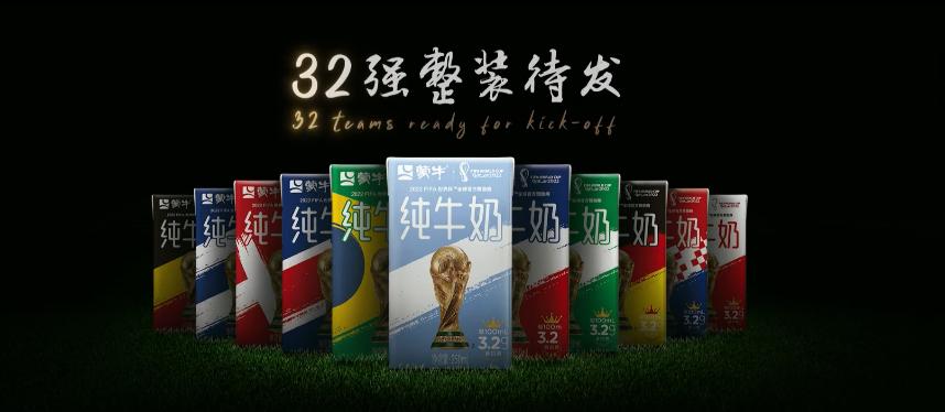 世界杯足球员故事,世界杯队长纪录片第四集