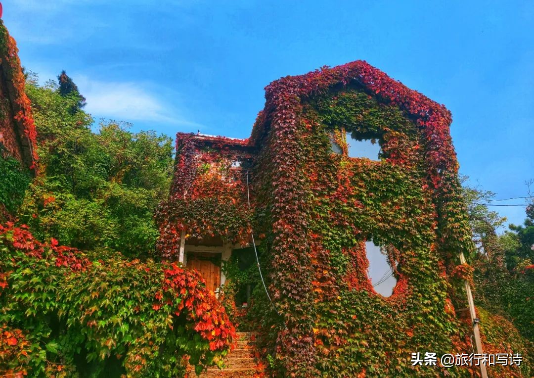 大连十大网红打卡圣地一网打尽,大连新晋网红打卡地东西价格