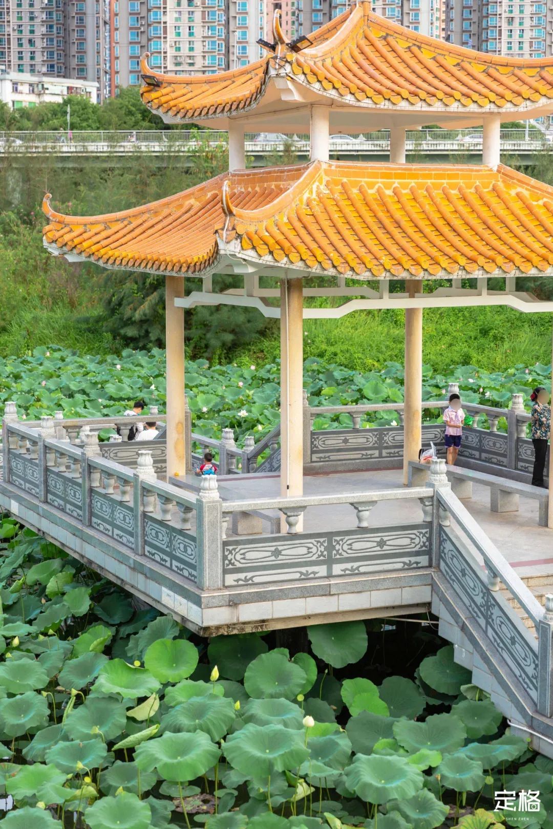 深圳免费露营的公园推荐,深圳22个露营公园