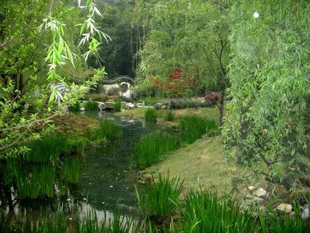 杭州龙井草堂,忆杭州白居易古诗朗诵