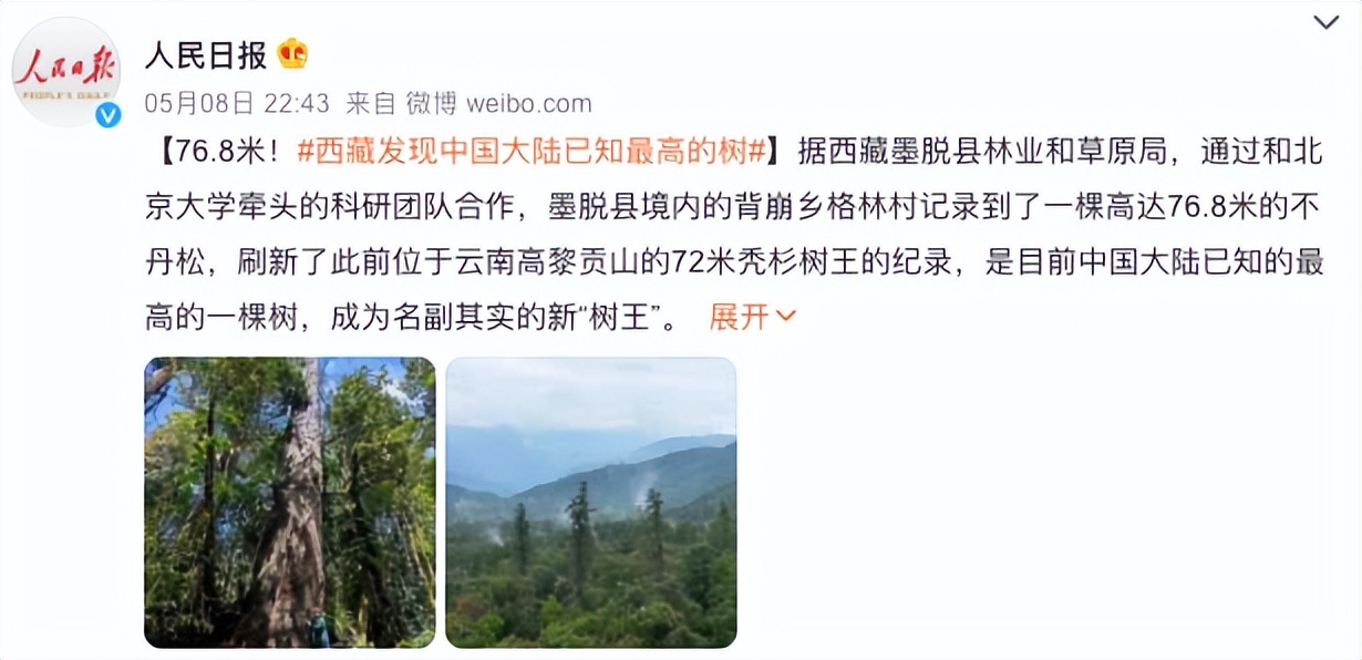 什么树长得又快又高大,83.2米最高树