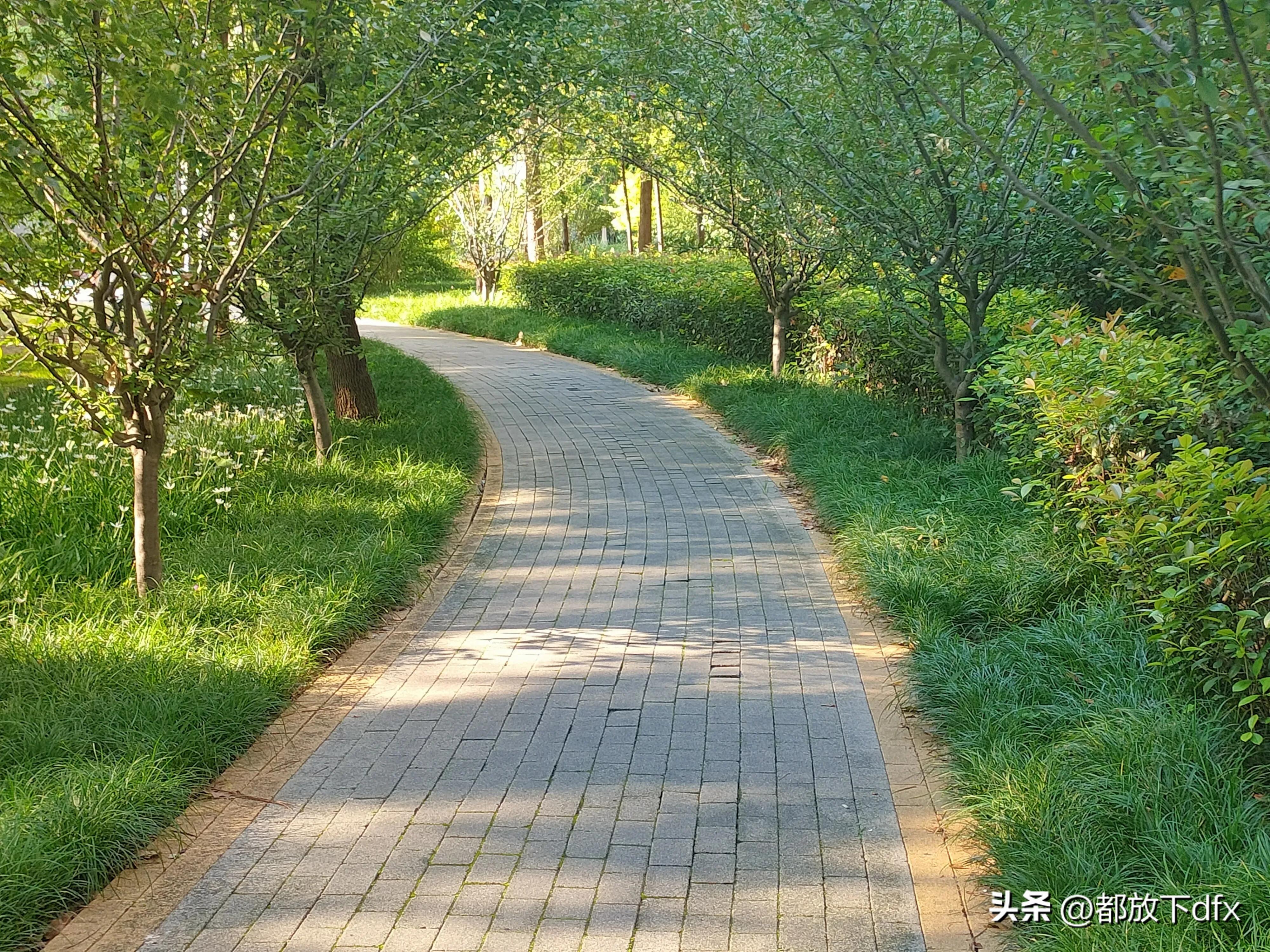 分道扬镳,各走各的路,也挺好的