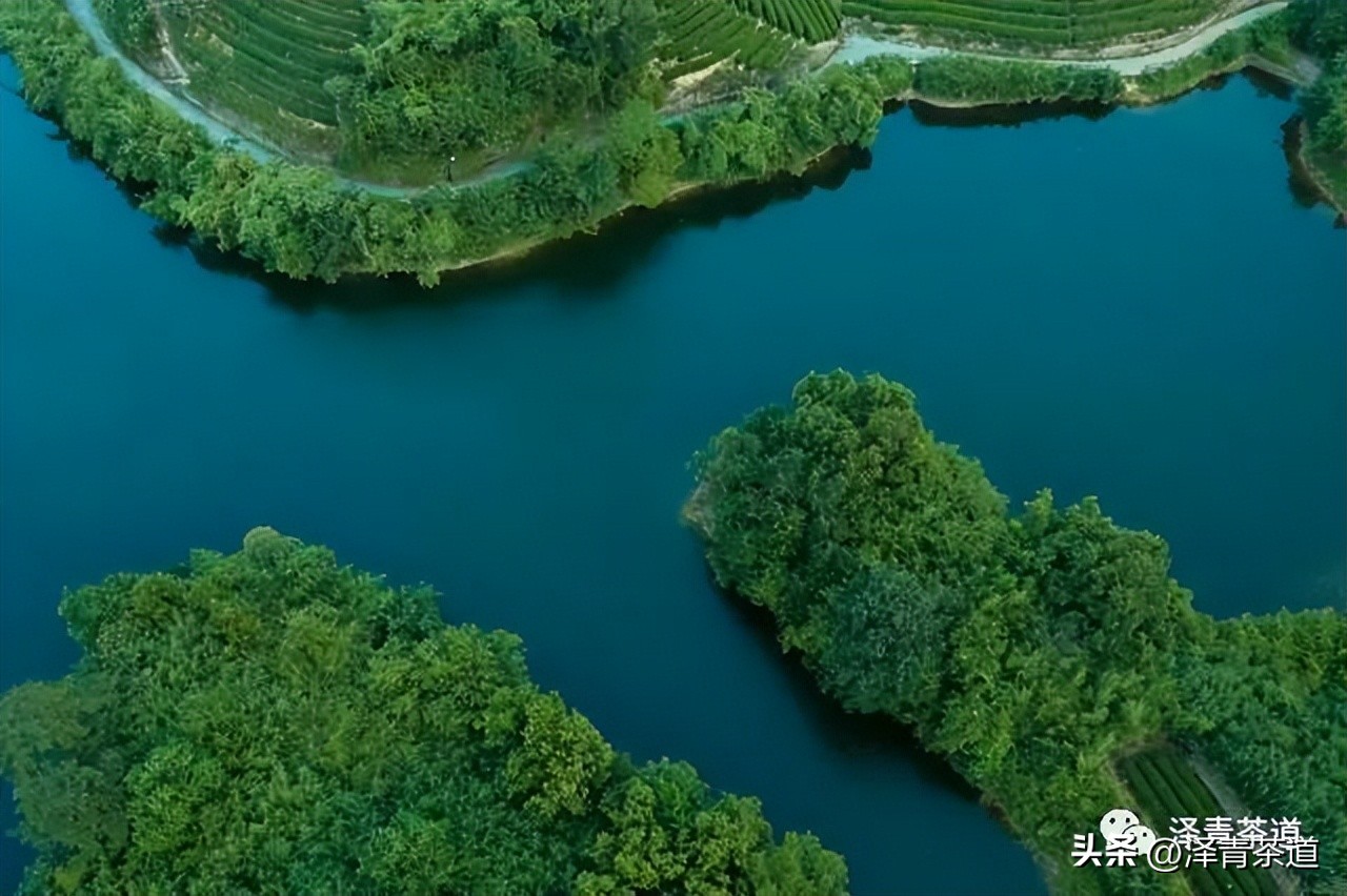 福建中国茶叶第一大省,中国茶叶排名第一省