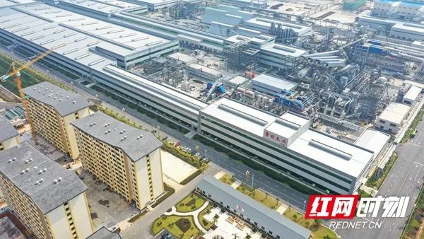 观潮的螃蟹,观潮的螃蟹是谁