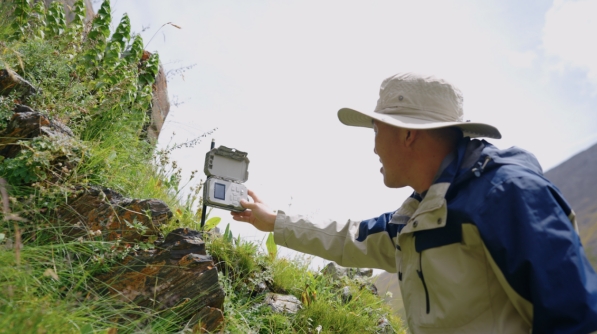 世界雪豹保护日,世界雪豹分布的国家数量