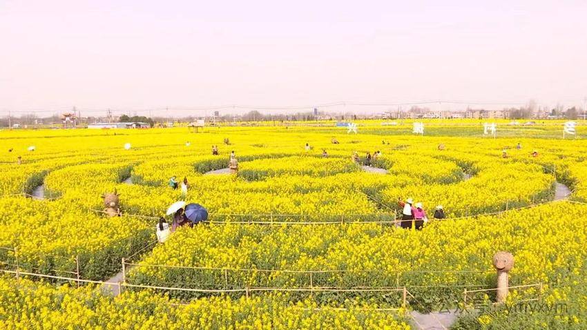 高端黑臭水体治理,清河黑臭水体治理