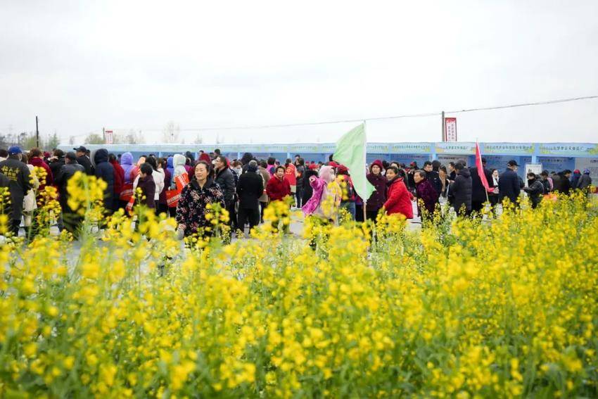 高端黑臭水体治理,清河黑臭水体治理