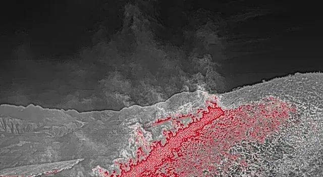 筑牢森林消防安全防火墙,筑牢森林防火安全防线