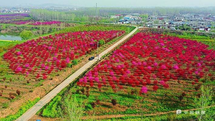 鏂板尯鍙戝睍绾疄,濂嬪姏璋卞啓鏂板尯楂樿川閲忓彂灞曟柊绡囩珷