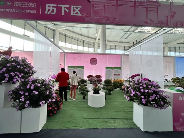 游花博泡温泉打卡,冬天商河温泉一日游