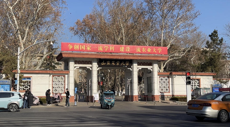 泰山学院，可以！其他，不行！*安泰**的大学开放了吗？记者实地探访