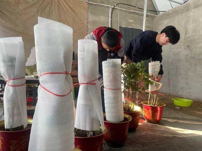 菏泽飞机几个小时到青岛,菏泽飞哈尔滨飞机