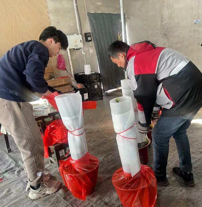 菏泽飞机几个小时到青岛,菏泽飞哈尔滨飞机