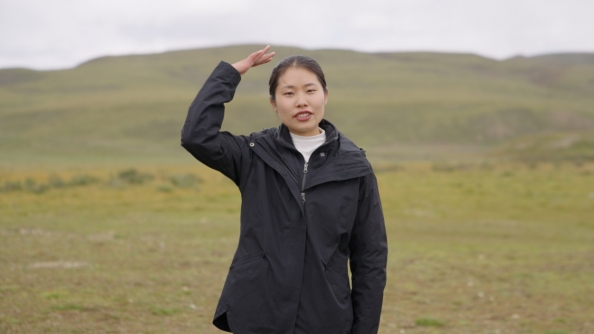 世界雪豹保护日,世界雪豹分布的国家数量