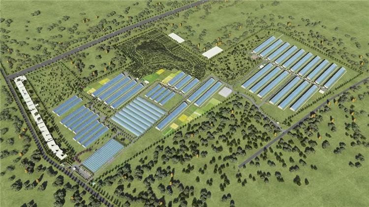 颜庄街道：服务群众零距离打好为民服务“组合拳”