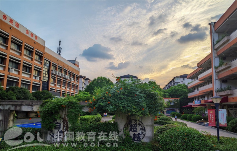 “解救小斑鸠”行动在启航中学上演校长为志愿者点上大大的赞