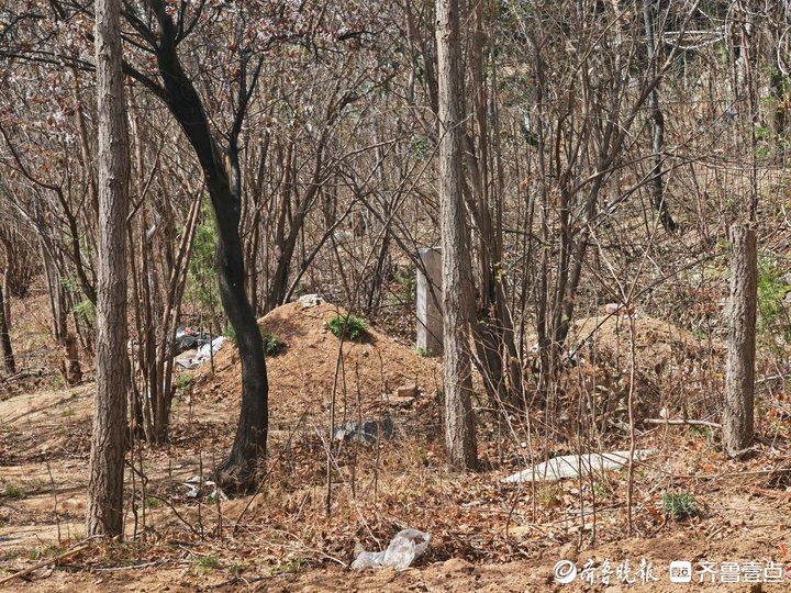 小区旁冒出墓地,小区惊现墓地房