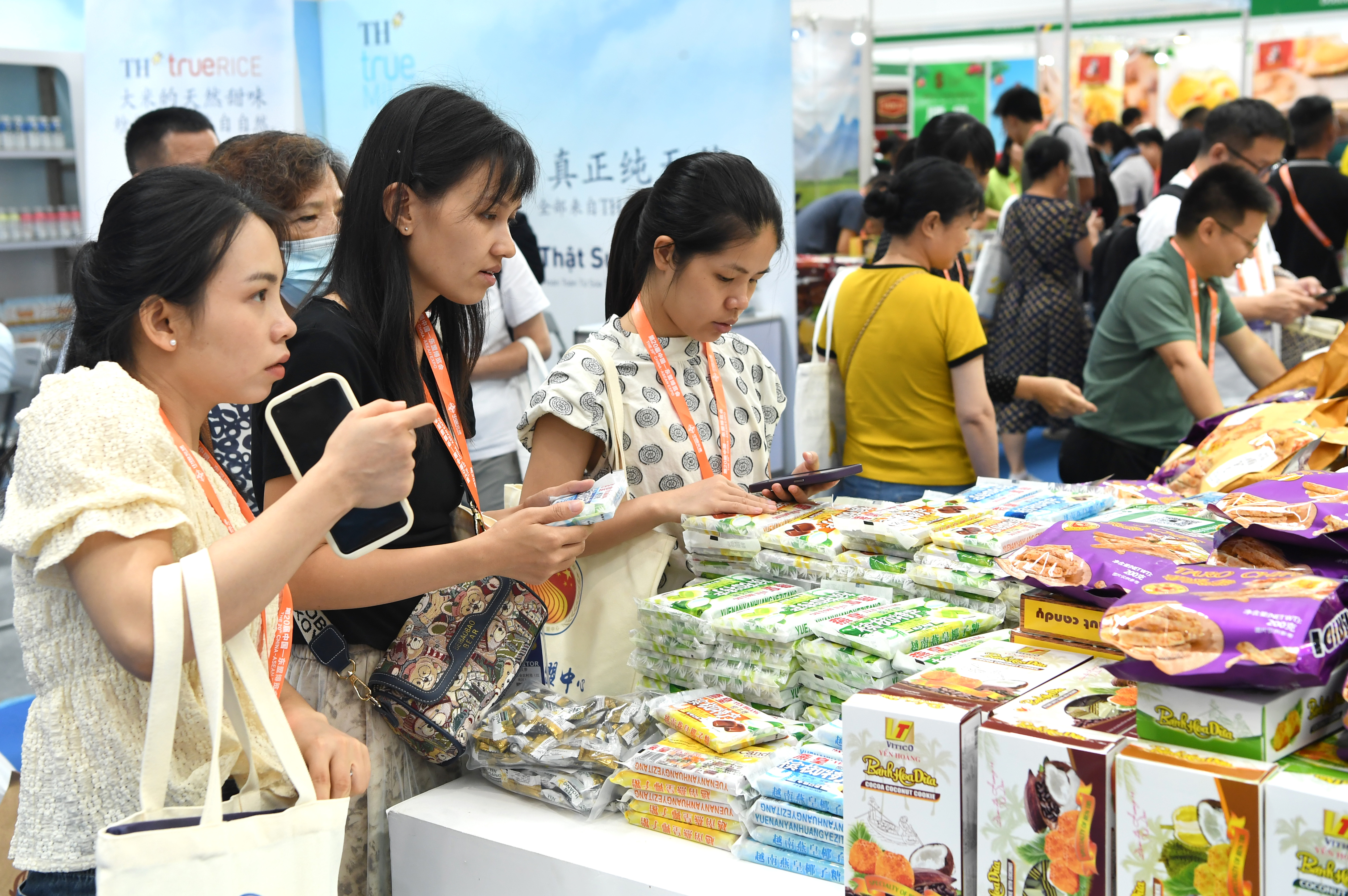 东盟博览会东博会,东盟风情亮相东博会