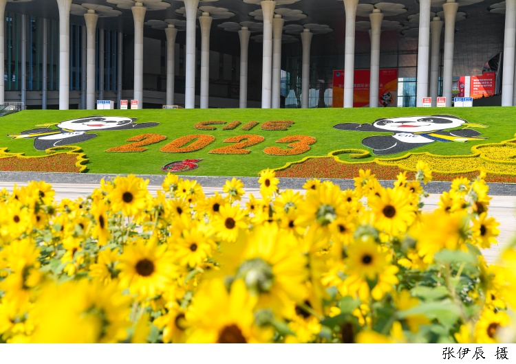 2023年第六届进博会宣传片,第六届进博会开幕宣传图