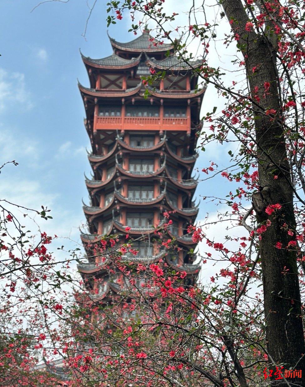 节后机票价格跳水错峰出游正当时,节后机票最低价仅为旺季三成