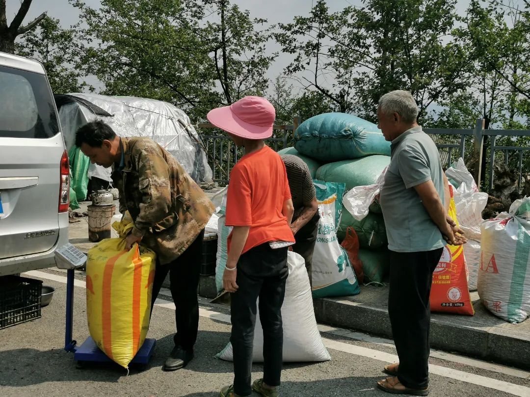 大理三月街药材批发,大理三月街药材市场2019