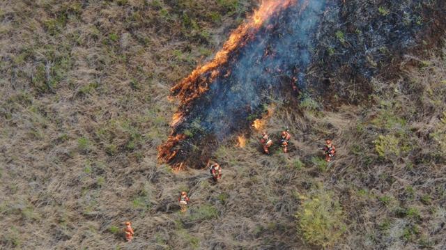 筑牢森林消防安全防火墙,筑牢森林防火安全防线