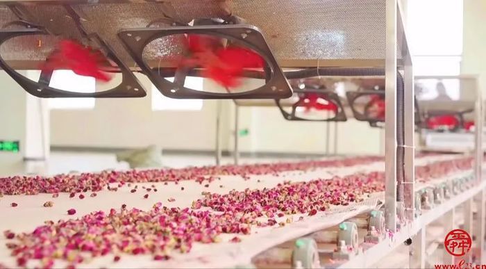 泉水人家最新视频,泉水人家济南